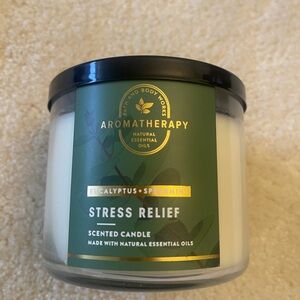 Bath & Body Works Eucalyptus Spearmint Candle with Black Lid